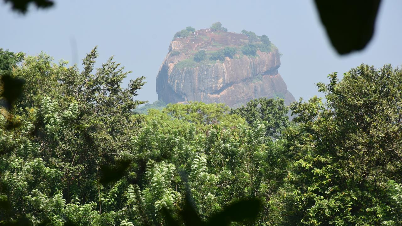 הוילה סיגירייה Sigiri Sarilco Rock View Treehouse מראה חיצוני תמונה